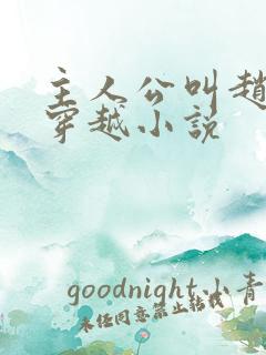 主人公叫赵开的穿越小说