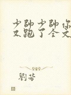 少帅少帅你老婆又跑了全文免费