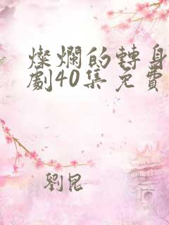 灿烂的转身电视剧40集免费观看高清