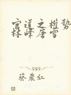 官道之权势滔天林峰唐雪
