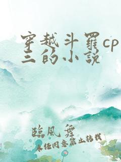 穿越斗罗cp唐三的小说