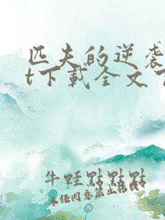 匹夫的逆袭txt下载全文下载