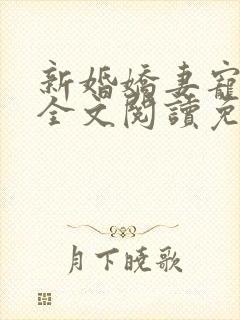 新婚娇妻宠上瘾全文阅读免费