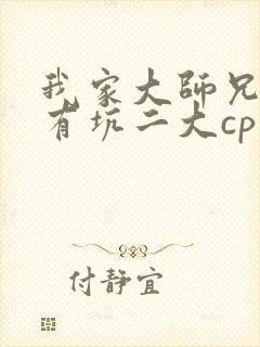 我家大师兄脑子有坑二大cp文