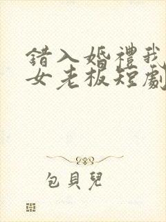 错入婚礼我娶了女老板短剧免费观看