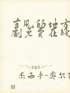 有风的地方电视剧免费在线观看