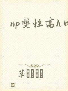 np双性高h肉