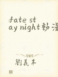fate stay night动漫