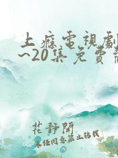 上瘾电视剧16~20集免费观看全集