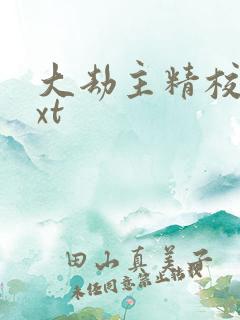 大劫主精校版txt