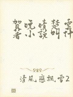 贺晚晴楚云深原著小说叫什么名字