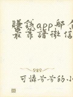 赚钱app哪个最靠谱微信提