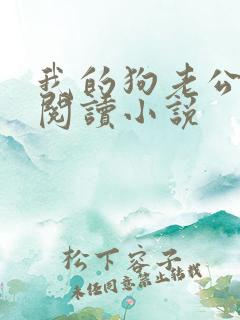 我的狗老公在线阅读小说