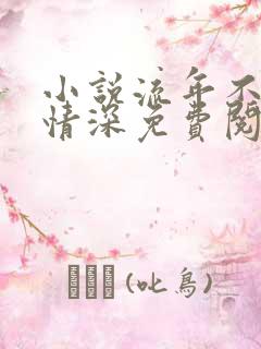 小说流年不负你情深免费阅读