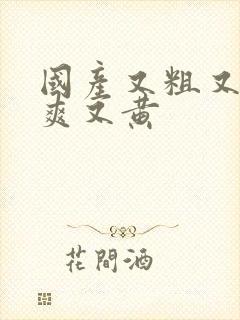 国产又粗又色又爽又黄