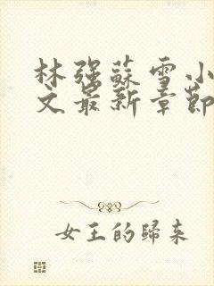 林强苏雪小说全文最新章节