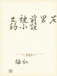 又被前男友盯上的小说