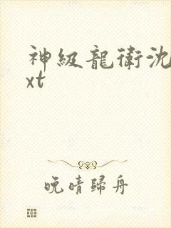 神级龙卫沈浪txt