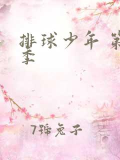 排球少年 第2季