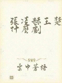 张凌赫王楚然是什么剧