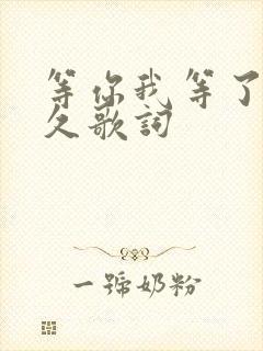 等你我等了那么久歌词