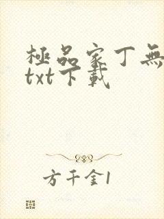 极品家丁无删减txt下载