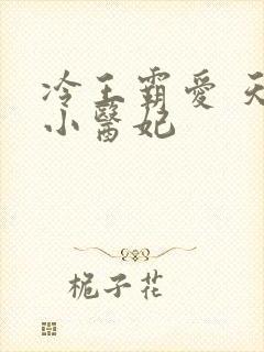 冷王霸爱 天才小医妃