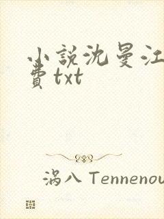 小说沈曼江峰免费txt