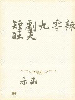 短剧九零辣妻很旺夫