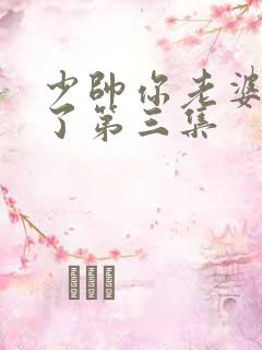 少帅你老婆又跑了第三集