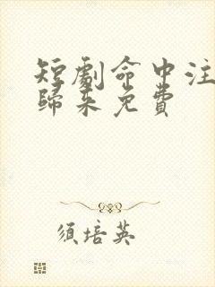 短剧命中注定缘归来免费