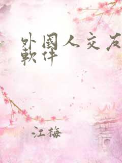 外国人交友聊天软件