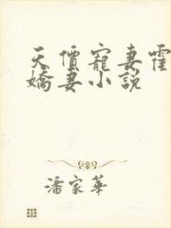 天价宠妻霍总小娇妻小说
