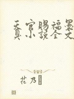 天官赐福墨香铜臭小说全文免费看