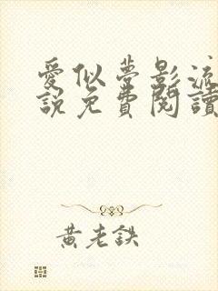 爱似梦影流离小说免费阅读