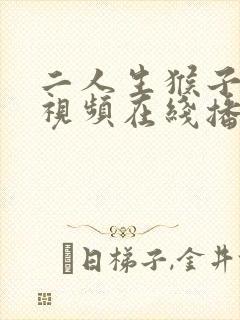 二人生猴子高清视频在线播放