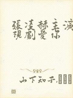 张凌赫主演的电视剧爱你