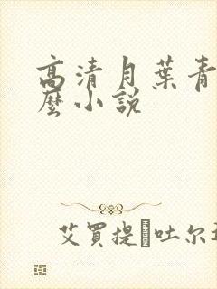 高清月叶青是什么小说