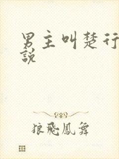 男主叫楚行的小说