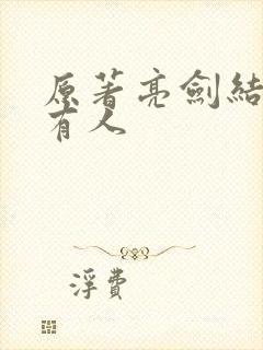 原著亮剑结局所有人