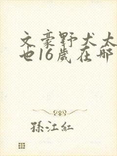 文豪野犬太宰中也16岁在哪看