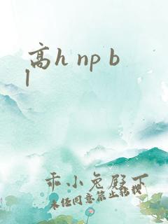 高h np bl