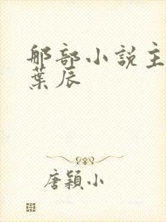 那部小说主角叫叶辰