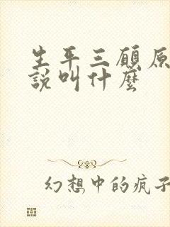 生平三愿原著小说叫什么