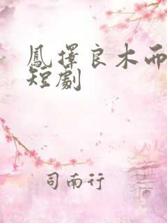 凤择良木而栖 短剧