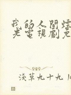 我的人间烟火蓝光电视剧免费观看