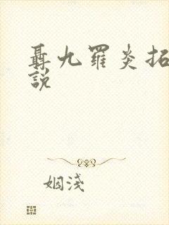 聂九罗炎拓的小说