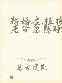 新婚夜,植物人老公忽然睁开眼正版