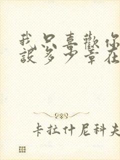 我只喜欢你的人设多少章在一起