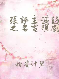 张译主演的以法之名电视剧免费观看全集